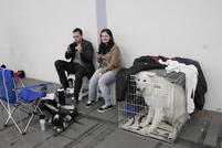 Marcus & Annas Schwester + Merlin in der Box